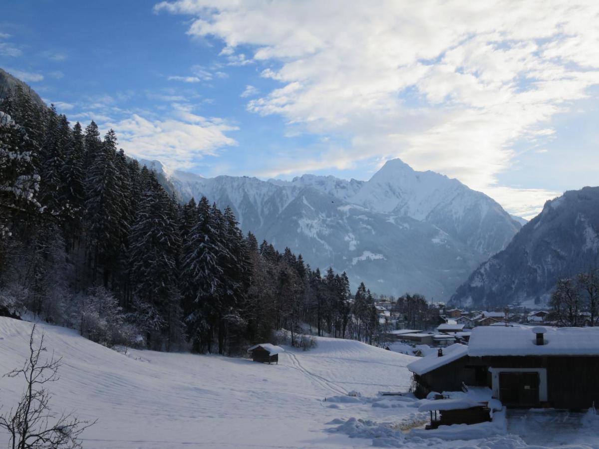 Apartment Hanser By Interhome Ramsau im Zillertal Bagian luar foto